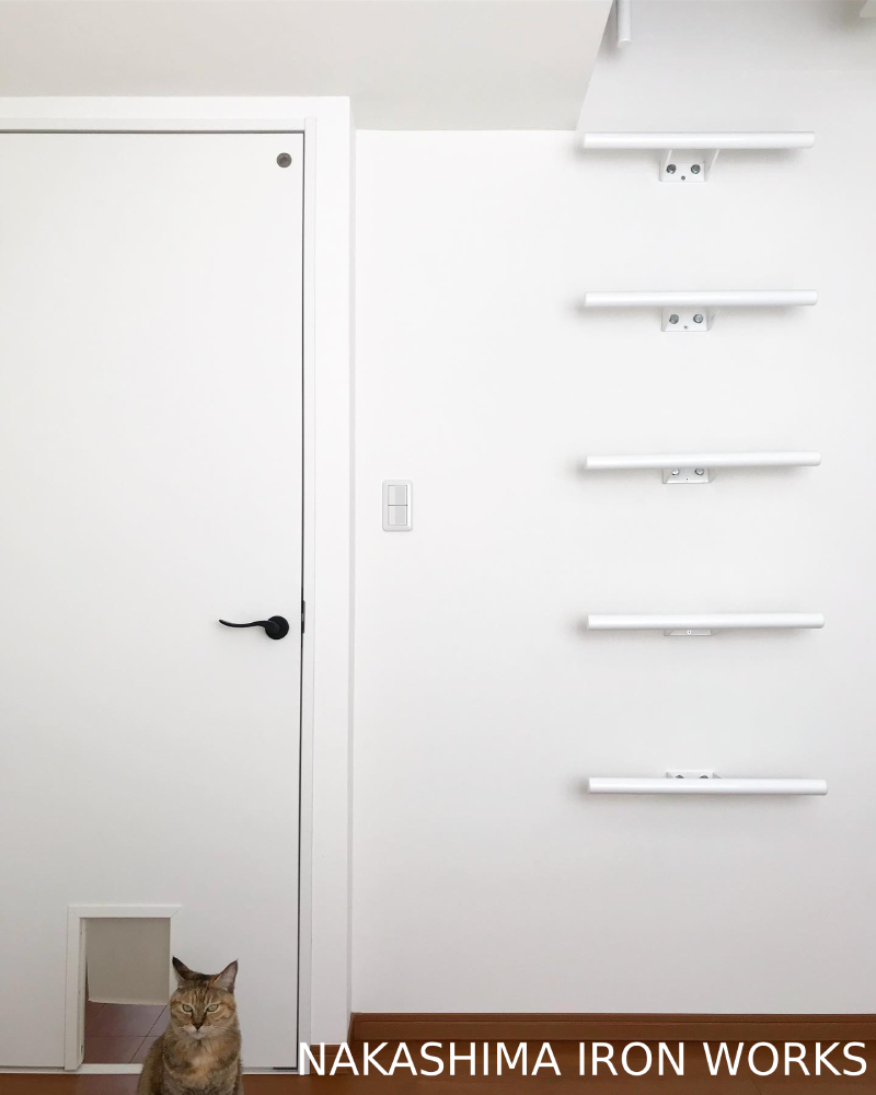 猫とエルエルスーパー